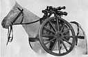 Figure 333. Wheels and axle attached to pack saddle