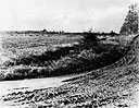 Biervliet From the East, 1946