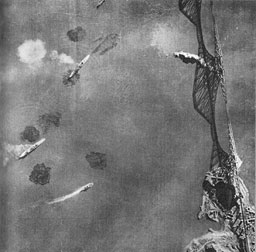 Plate 1. Air attack on British warships in the Firth of Forth, 16th October, 1939.